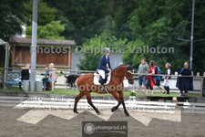 ref. photo 3702024