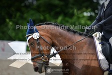 ref. photo 3702103