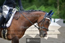 ref. photo 3702114