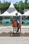 ref. photo 3702134