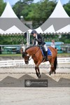 ref. photo 3702153