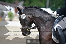 ref. photo 3702167