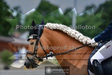 ref. photo 3702268