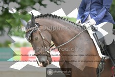 ref. photo 3702292
