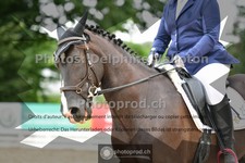 ref. photo 3702309