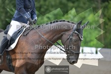 ref. photo 3702403
