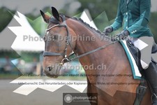 ref. photo 3702443