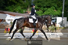 ref. photo 3702488