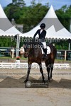 ref. photo 3702503
