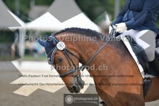 ref. photo 3702683
