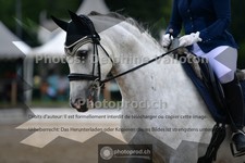 ref. photo 3702907