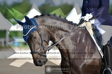 ref. photo 3702943