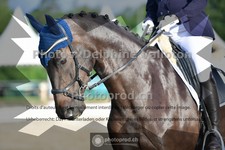 ref. photo 3702962