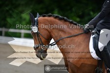 ref. photo 3702988