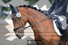 ref. photo 3703030