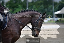 ref. photo 3703096