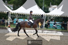 ref. photo 3703106