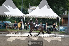 ref. photo 3703114