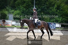 ref. photo 3703120