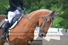ref. photo 3703177