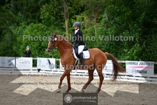 ref. photo 3703182