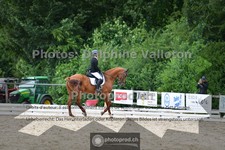 ref. photo 3703185
