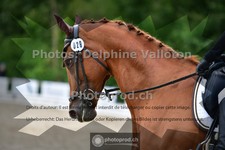 ref. photo 3703192