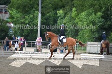 ref. photo 3703195