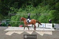 ref. photo 3703204