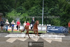 ref. photo 3703255