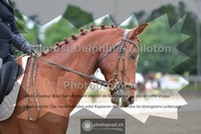 ref. photo 3703266