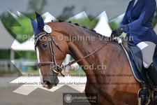 ref. photo 3703417