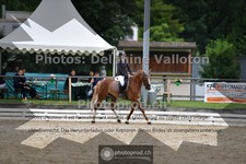 ref. photo 3703484