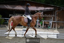ref. photo 3703501