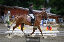 ref. photo 3703502
