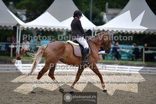 ref. photo 3703504