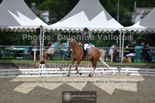 ref. photo 3703505