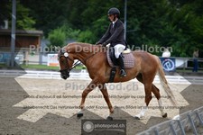 ref. photo 3703516
