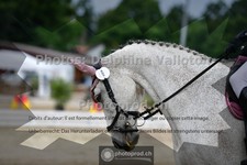 ref. photo 3703576