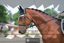 ref. photo 3703590