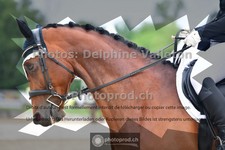 ref. photo 3703605