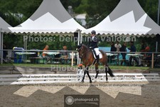 ref. photo 3703632
