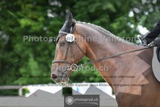 ref. photo 3703721