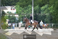 ref. photo 3703731