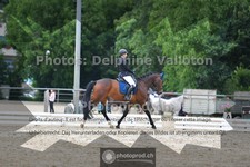 ref. photo 3703751