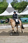 ref. photo 3703770