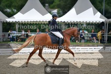 ref. photo 3703810