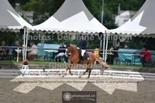 ref. photo 3703812