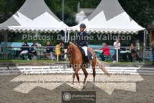 ref. photo 3703820