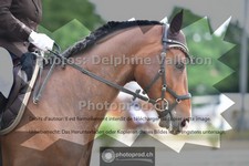 ref. photo 3703836